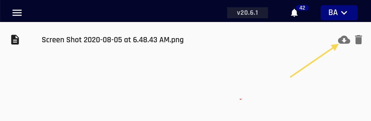 File Download Button